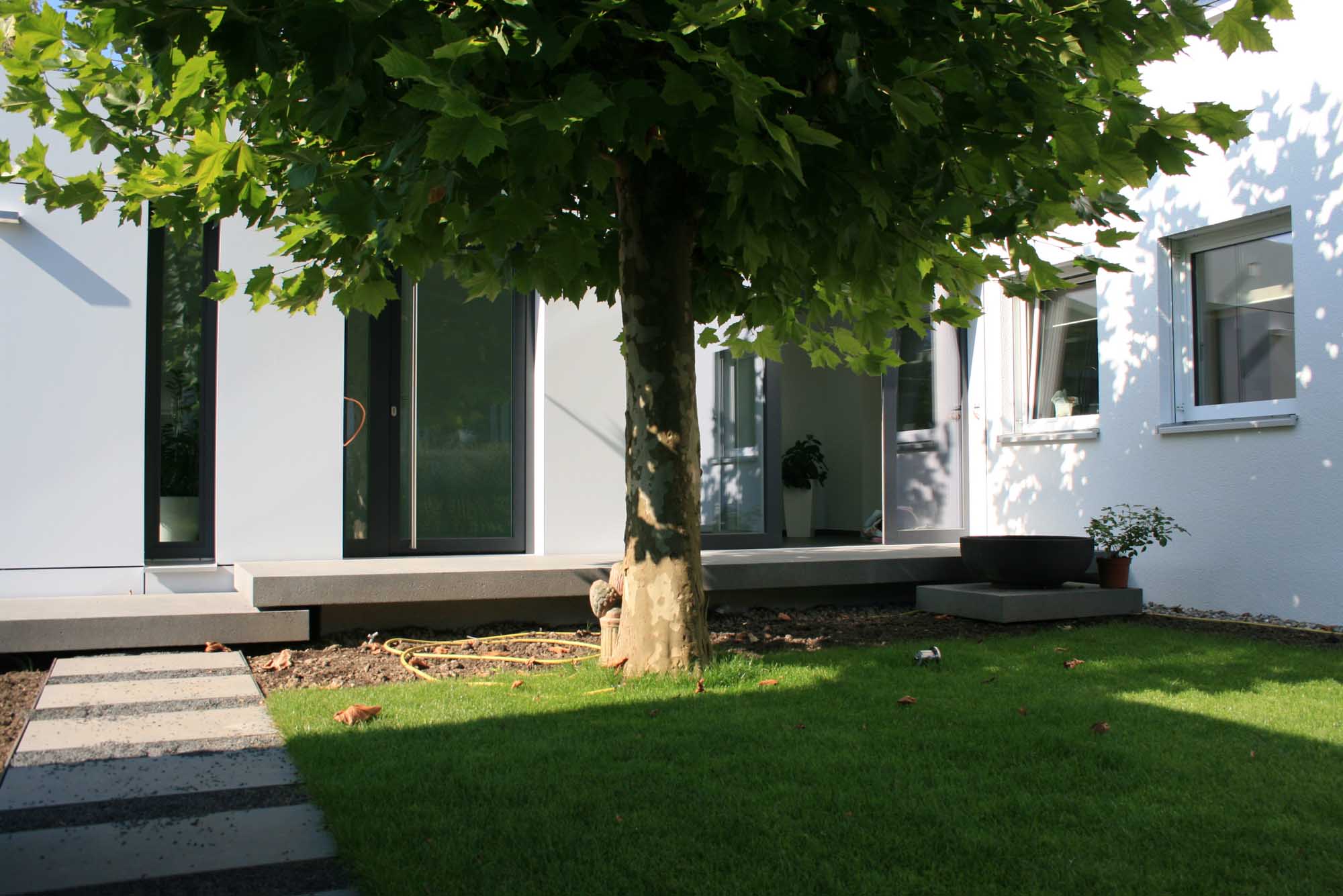 Haus- und Praxiszugang mit Bestandsbaum - Platane