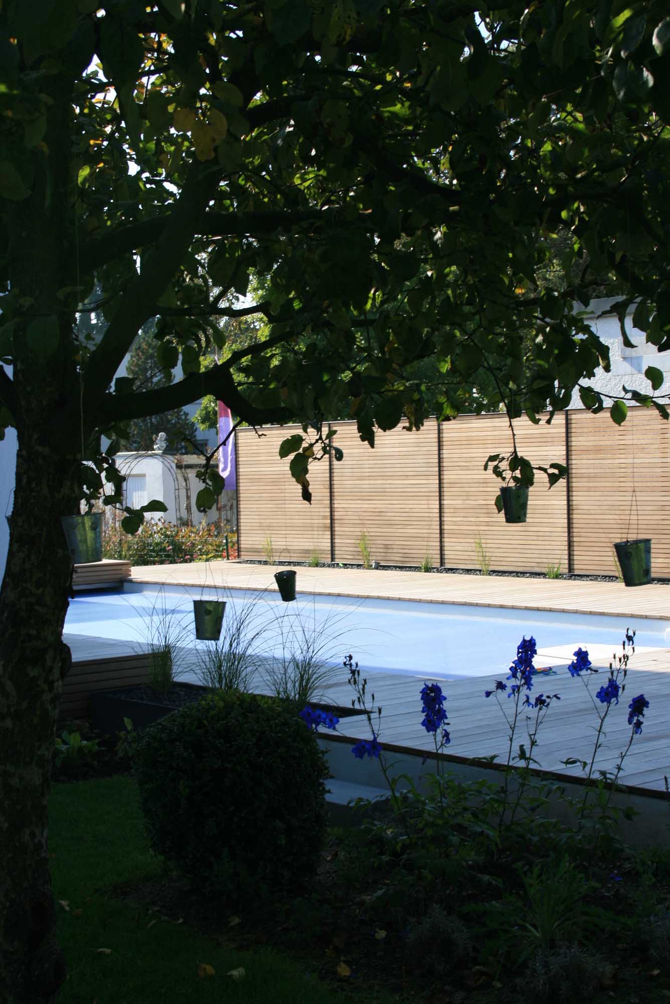 Pool mit Sichtschutzwand Holz-Stahl